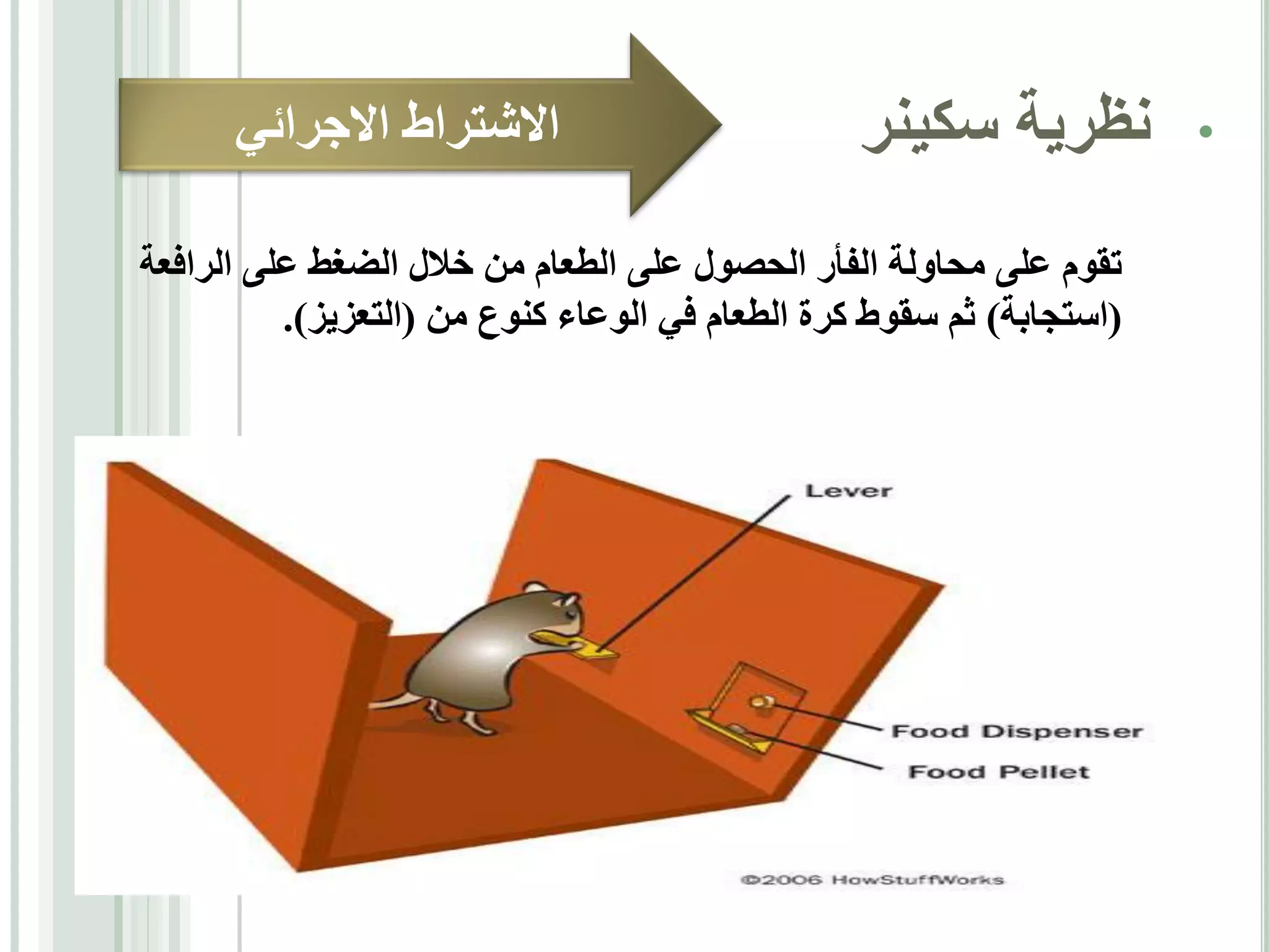 ‫•‬

‫نظرية سكينر‬

‫االشتراط االجرائي‬

‫تقوم على محاولة الفأر الحصول على الطعام من خالل الضغط على الرافعة‬
‫(استجابة) ثم سقوط كرة الطعام في الوعاء كنوع من (التعزيز).‬

 