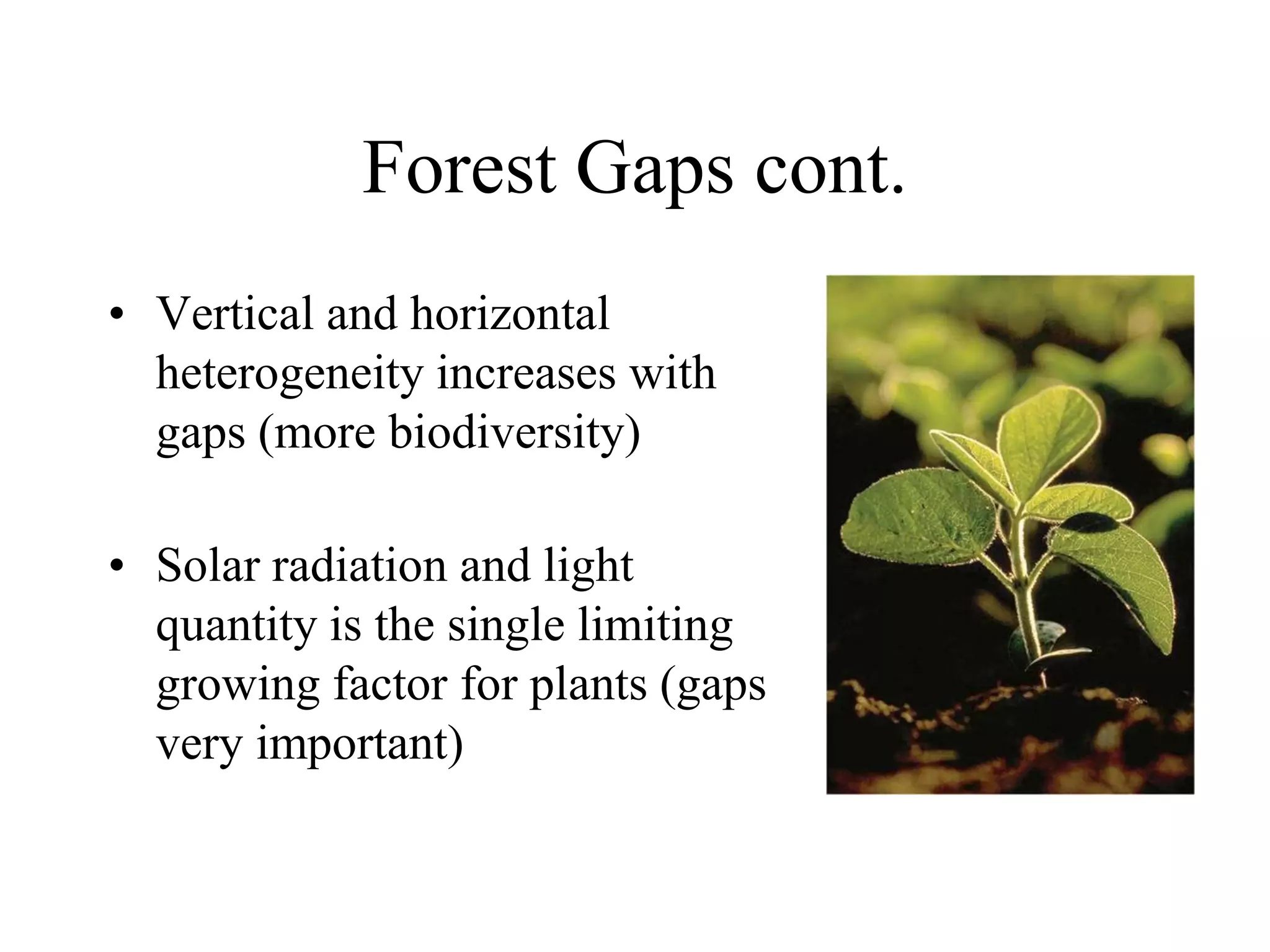 Forest Gaps cont.
• Vertical and horizontal
heterogeneity increases with
gaps (more biodiversity)
• Solar radiation and light
quantity is the single limiting
growing factor for plants (gaps
very important)

 