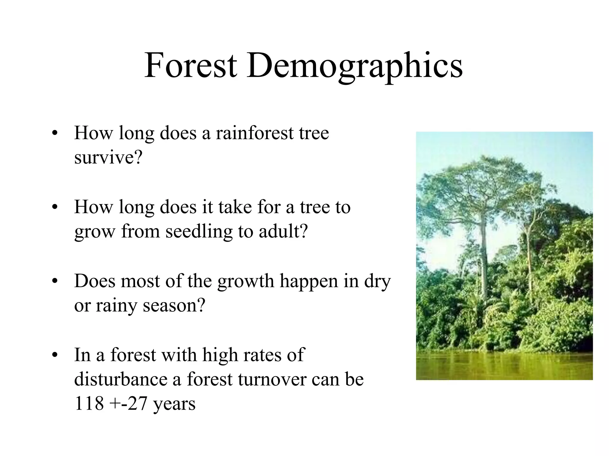 Forest Demographics
• How long does a rainforest tree
survive?
• How long does it take for a tree to
grow from seedling to adult?

• Does most of the growth happen in dry
or rainy season?
• In a forest with high rates of
disturbance a forest turnover can be
118 +-27 years

 