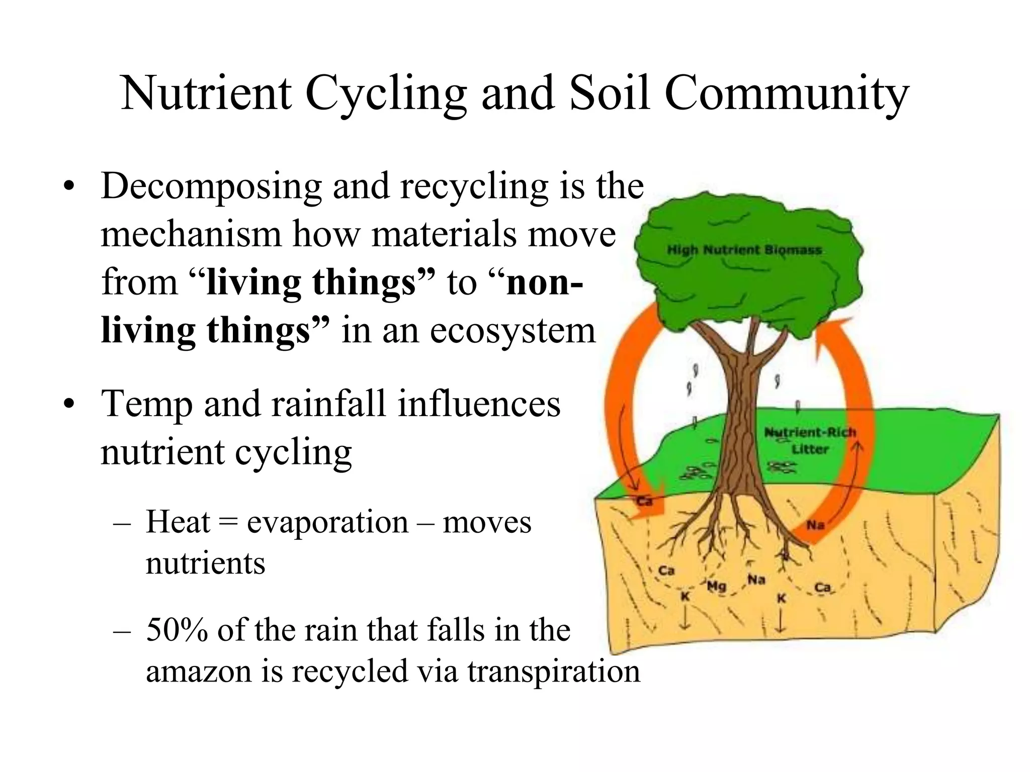 Nutrient Cycling and Soil Community
• Decomposing and recycling is the
mechanism how materials move
from “living things” to “nonliving things” in an ecosystem
• Temp and rainfall influences
nutrient cycling
– Heat = evaporation – moves
nutrients

– 50% of the rain that falls in the
amazon is recycled via transpiration

 