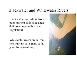 Blackwater and Whitewater Rivers
• Blackwater rivers drain from
poor nutrient soils (like a tea
defense compounds in the
vegetation)
• Whitewater rivers drain from
rich nutrient soils (new soils,
good for agriculture)

 