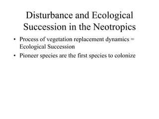 Disturbance and Ecological
Succession in the Neotropics
• Process of vegetation replacement dynamics =
Ecological Succession
• Pioneer species are the first species to colonize

 