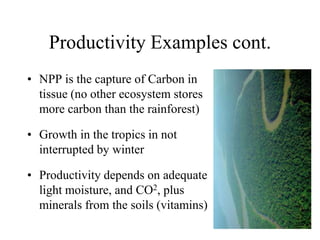 Productivity Examples cont.
• NPP is the capture of Carbon in
tissue (no other ecosystem stores
more carbon than the rainforest)
• Growth in the tropics in not
interrupted by winter
• Productivity depends on adequate
light moisture, and CO2, plus
minerals from the soils (vitamins)

 