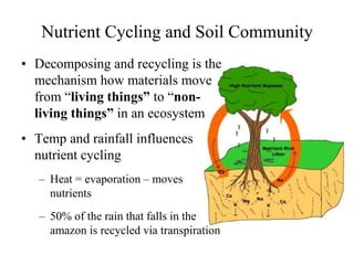 Nutrient Cycling and Soil Community
• Decomposing and recycling is the
mechanism how materials move
from “living things” to “nonliving things” in an ecosystem
• Temp and rainfall influences
nutrient cycling
– Heat = evaporation – moves
nutrients

– 50% of the rain that falls in the
amazon is recycled via transpiration

 