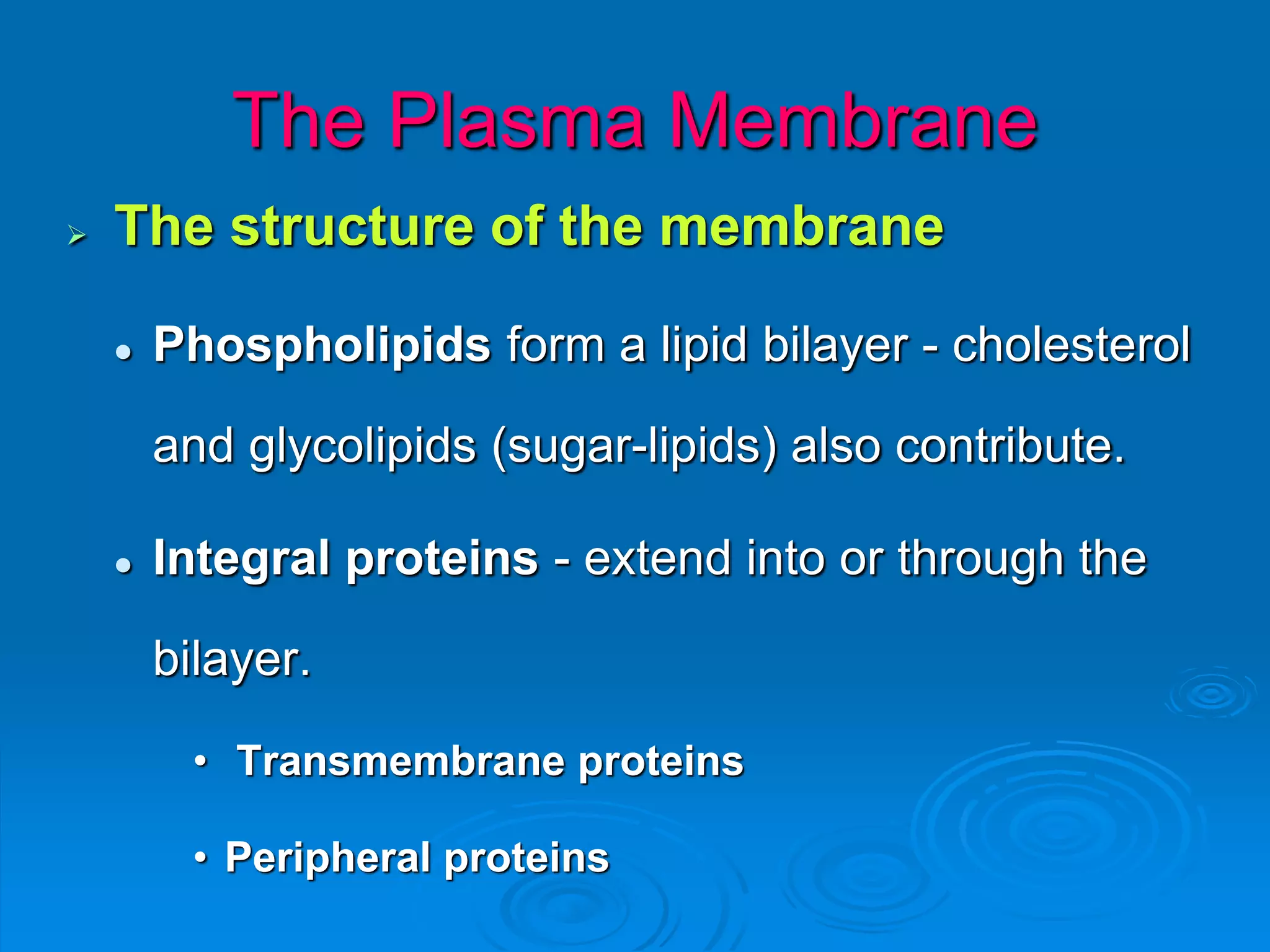 The Plasma Membrane
 The structure of the membrane
 Phospholipids form a lipid bilayer - cholesterol
and glycolipids (sugar-lipids) also contribute.
 Integral proteins - extend into or through the
bilayer.
• Transmembrane proteins
• Peripheral proteins
 