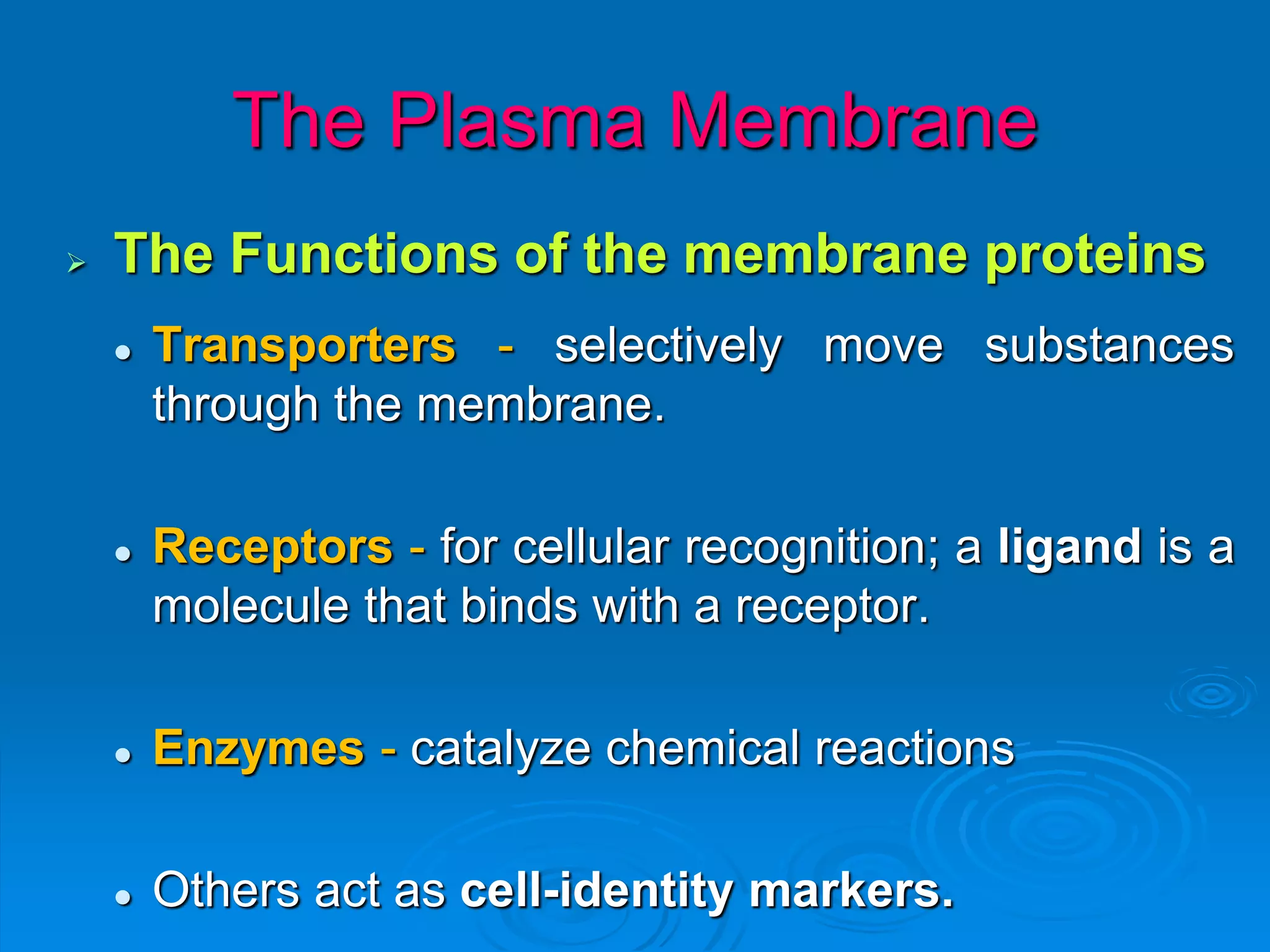 The Plasma Membrane
 The Functions of the membrane proteins
 Transporters - selectively move substances
through the membrane.
 Receptors - for cellular recognition; a ligand is a
molecule that binds with a receptor.
 Enzymes - catalyze chemical reactions
 Others act as cell-identity markers.
 
