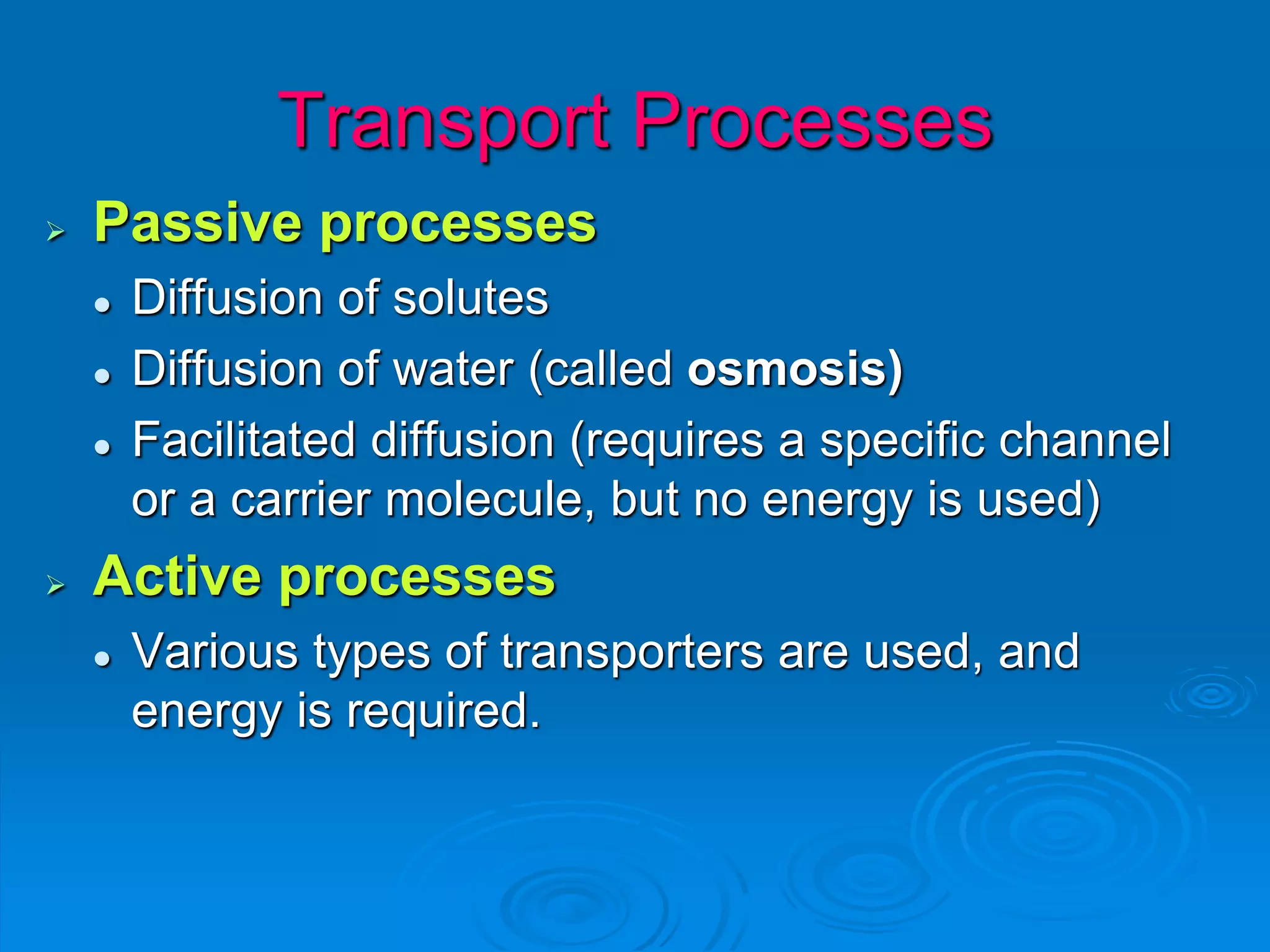 Transport Processes
 Passive processes
 Diffusion of solutes
 Diffusion of water (called osmosis)
 Facilitated diffusion (requires a specific channel
or a carrier molecule, but no energy is used)
 Active processes
 Various types of transporters are used, and
energy is required.
 