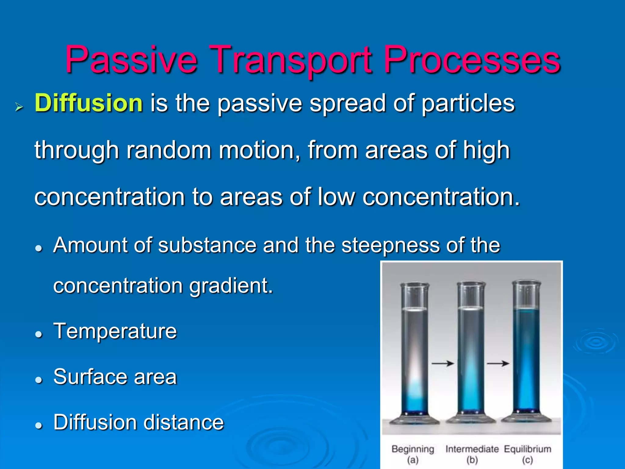 Passive Transport Processes
 Diffusion is the passive spread of particles
through random motion, from areas of high
concentration to areas of low concentration.
 Amount of substance and the steepness of the
concentration gradient.
 Temperature
 Surface area
 Diffusion distance
 
