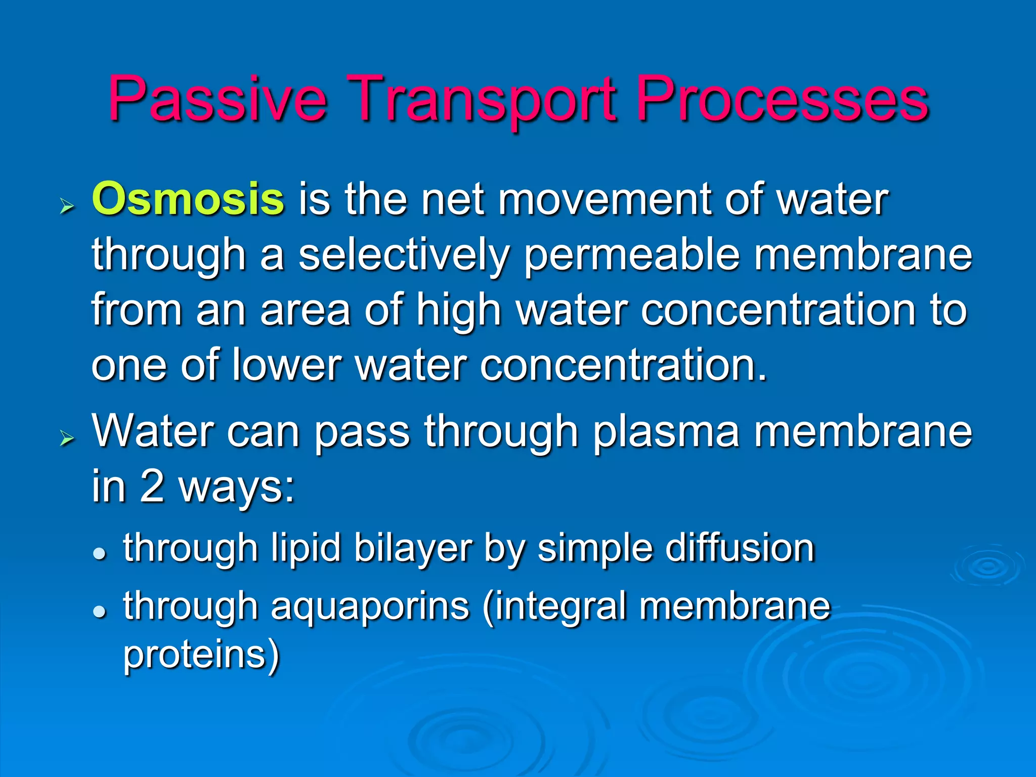 Passive Transport Processes
 Osmosis is the net movement of water
through a selectively permeable membrane
from an area of high water concentration to
one of lower water concentration.
 Water can pass through plasma membrane
in 2 ways:
 through lipid bilayer by simple diffusion
 through aquaporins (integral membrane
proteins)
 