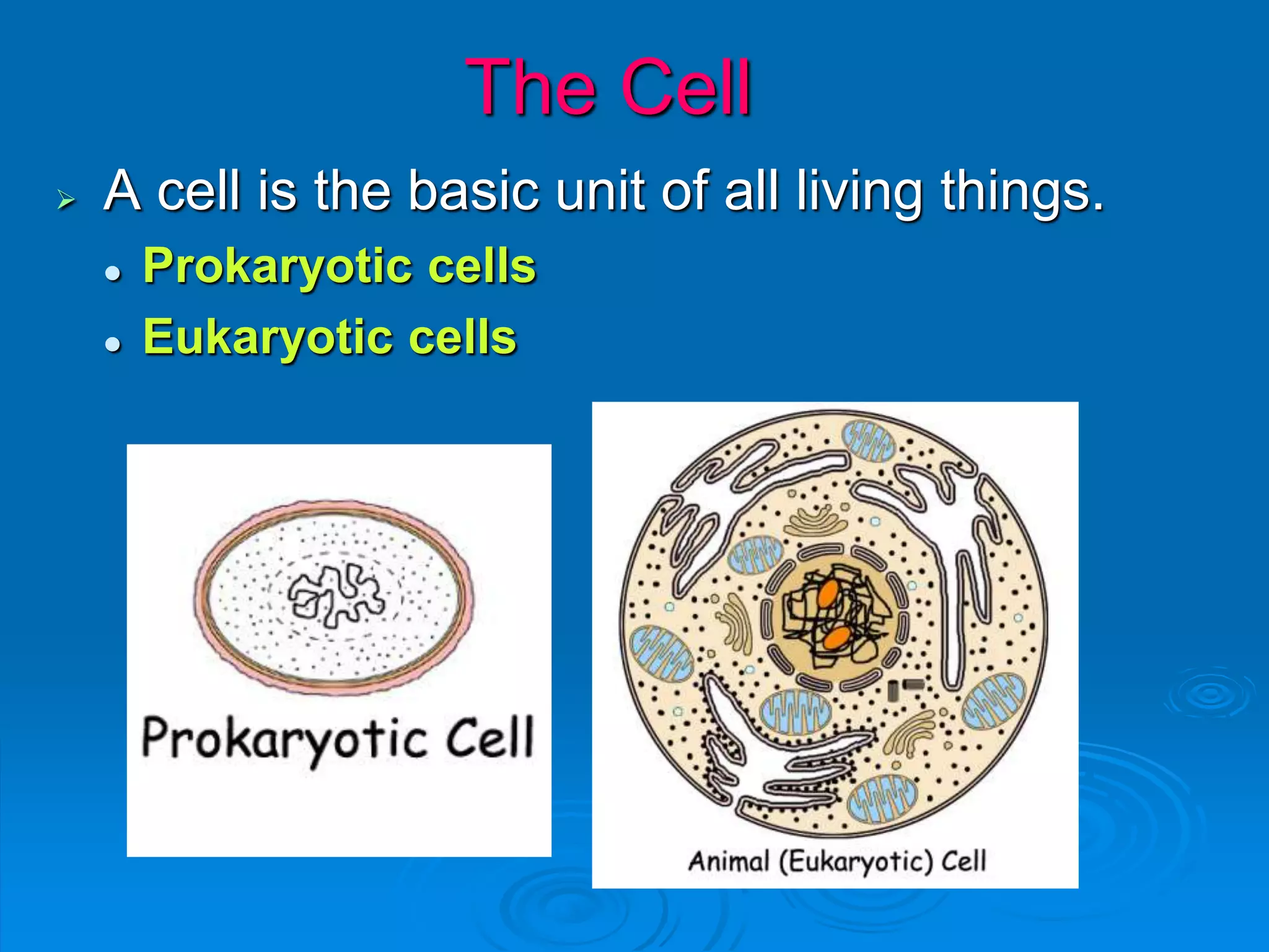  A cell is the basic unit of all living things.
 Prokaryotic cells
 Eukaryotic cells
The Cell
 
