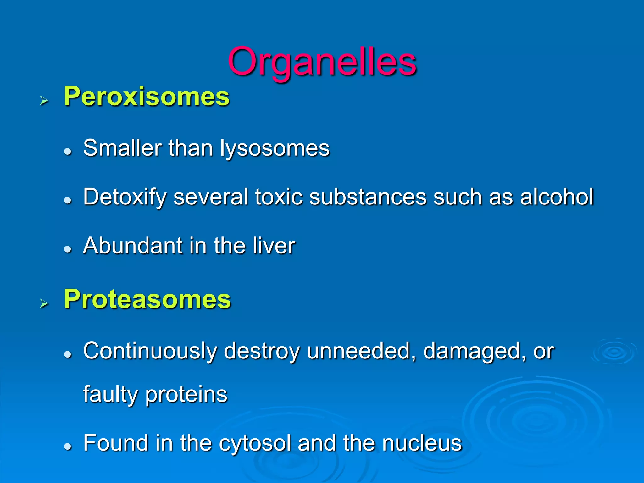 Organelles
 Peroxisomes
 Smaller than lysosomes
 Detoxify several toxic substances such as alcohol
 Abundant in the liver
 Proteasomes
 Continuously destroy unneeded, damaged, or
faulty proteins
 Found in the cytosol and the nucleus
 