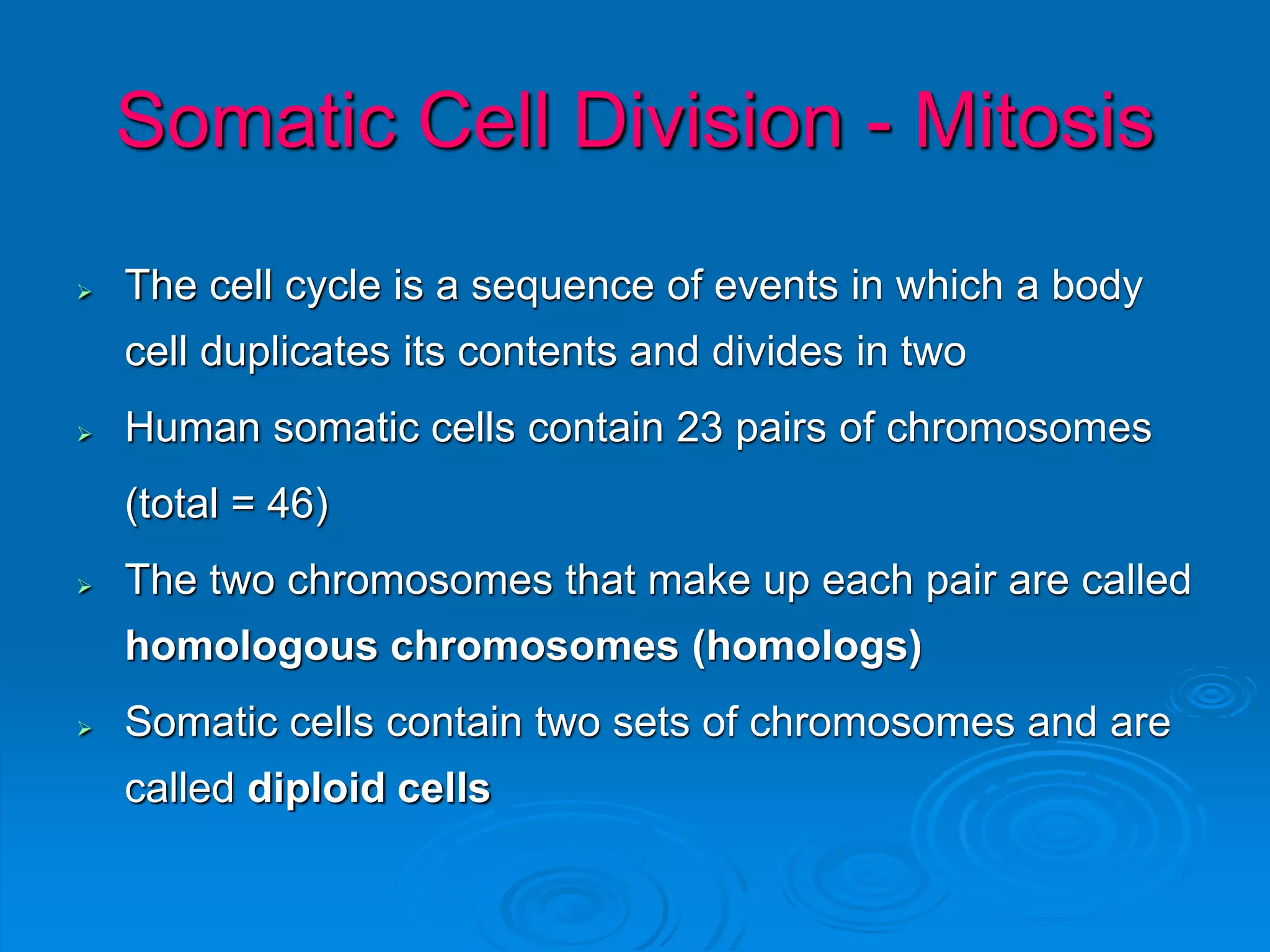 Somatic Cell Division - Mitosis
 The cell cycle is a sequence of events in which a body
cell duplicates its contents and divides in two
 Human somatic cells contain 23 pairs of chromosomes
(total = 46)
 The two chromosomes that make up each pair are called
homologous chromosomes (homologs)
 Somatic cells contain two sets of chromosomes and are
called diploid cells
 