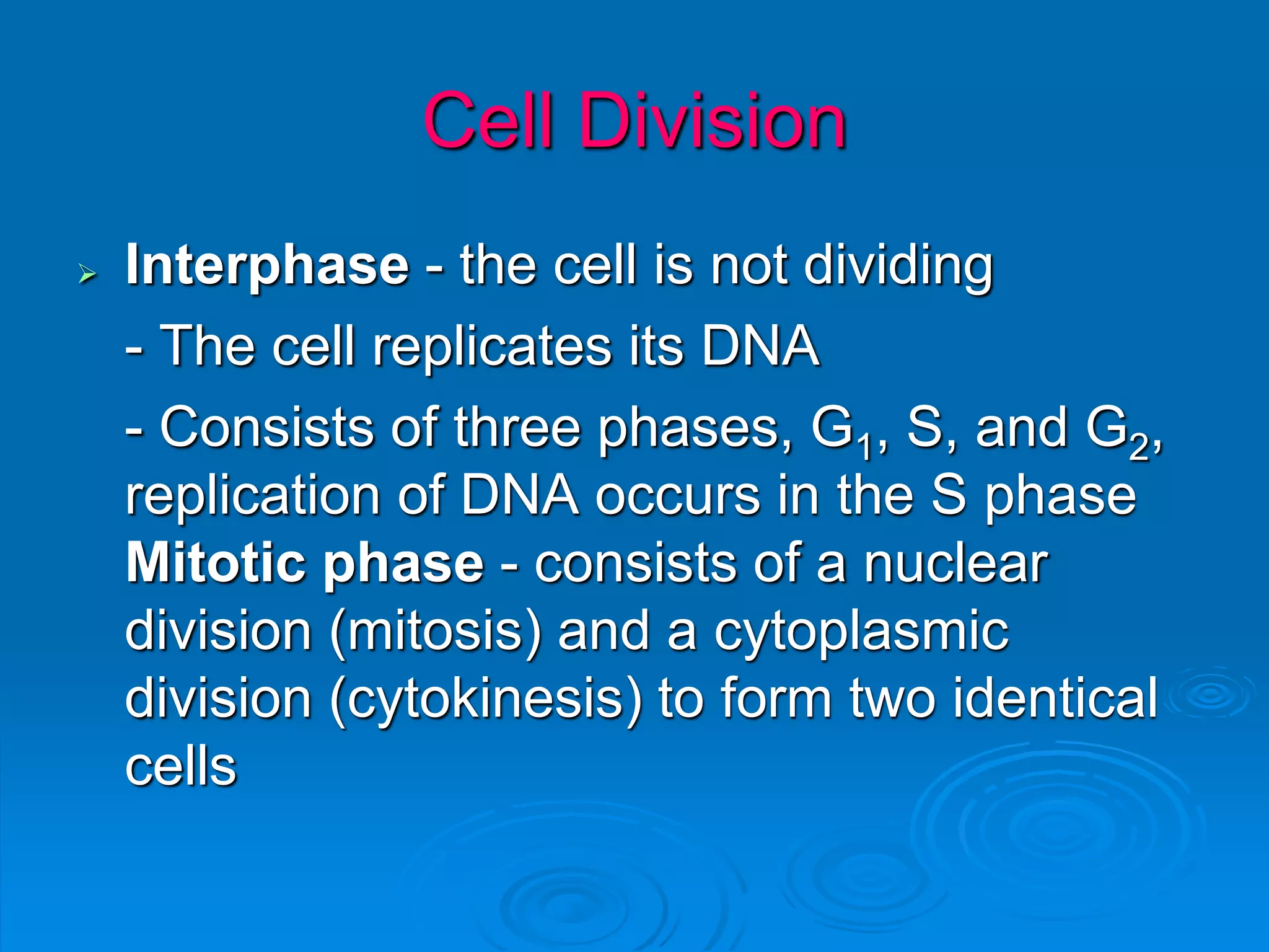 Cell Division
 Interphase - the cell is not dividing
- The cell replicates its DNA
- Consists of three phases, G1, S, and G2,
replication of DNA occurs in the S phase
Mitotic phase - consists of a nuclear
division (mitosis) and a cytoplasmic
division (cytokinesis) to form two identical
cells
 