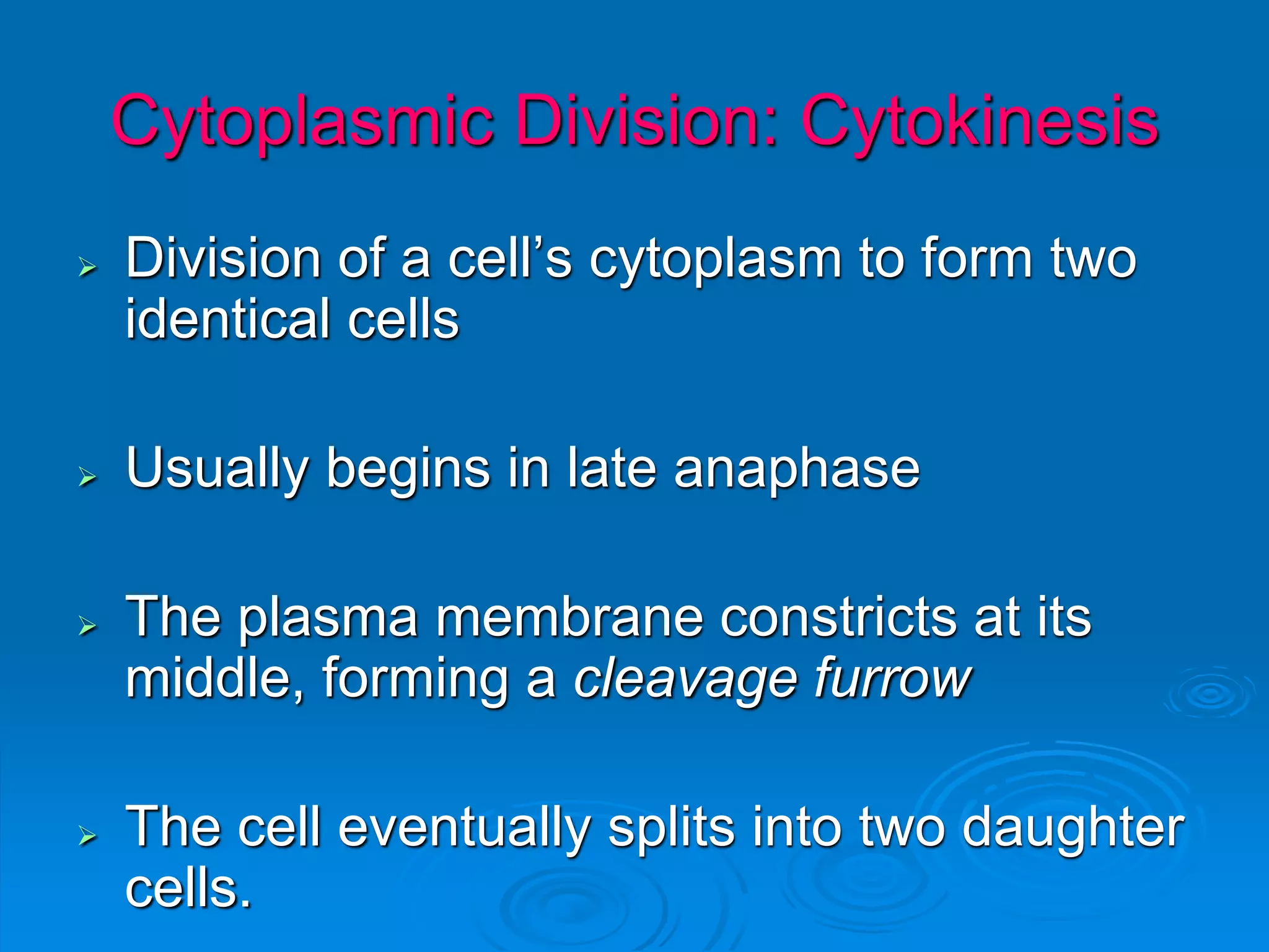 Cytoplasmic Division: Cytokinesis
 Division of a cell’s cytoplasm to form two
identical cells
 Usually begins in late anaphase
 The plasma membrane constricts at its
middle, forming a cleavage furrow
 The cell eventually splits into two daughter
cells.
 