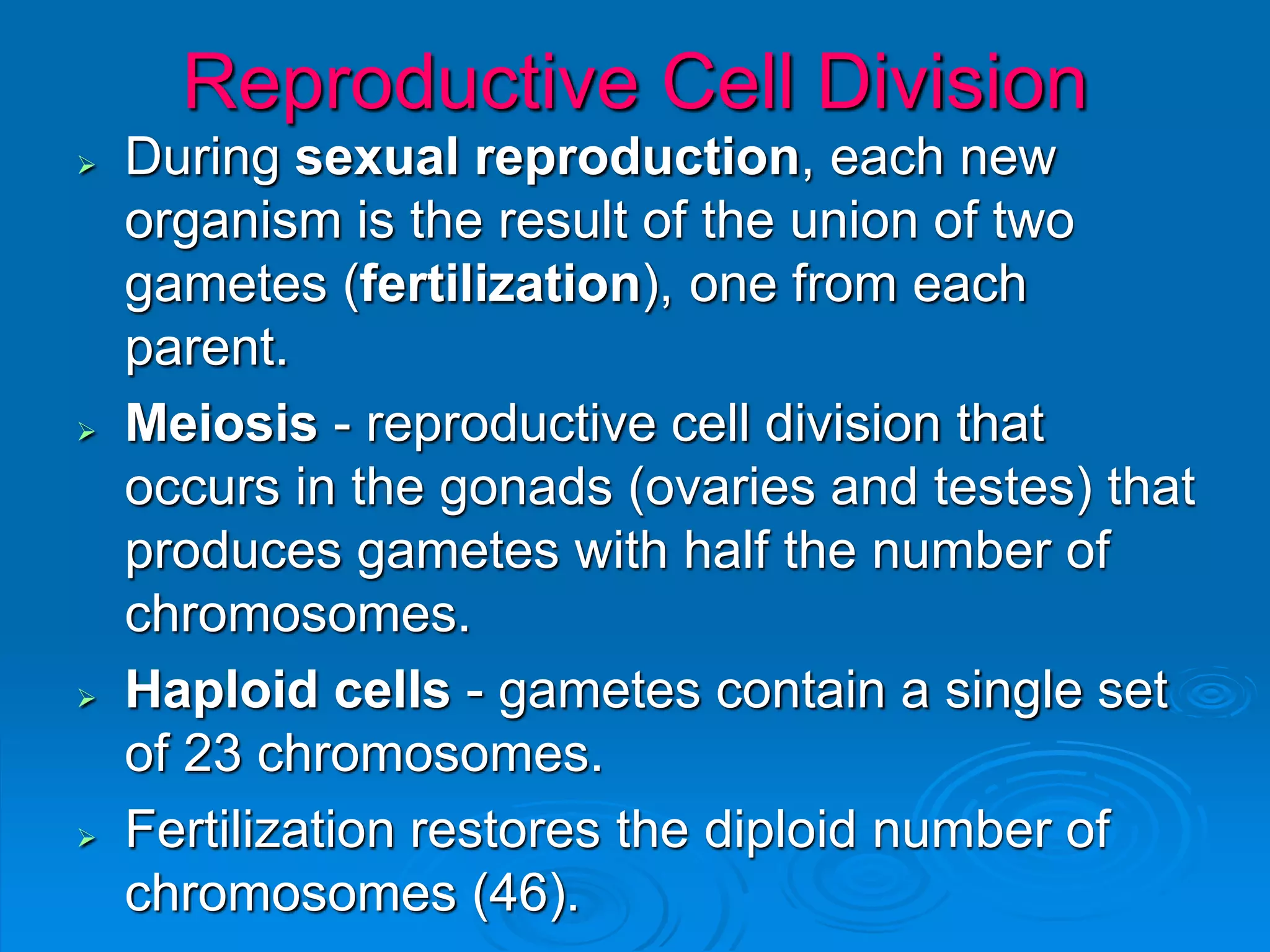 Reproductive Cell Division
 During sexual reproduction, each new
organism is the result of the union of two
gametes (fertilization), one from each
parent.
 Meiosis - reproductive cell division that
occurs in the gonads (ovaries and testes) that
produces gametes with half the number of
chromosomes.
 Haploid cells - gametes contain a single set
of 23 chromosomes.
 Fertilization restores the diploid number of
chromosomes (46).
 