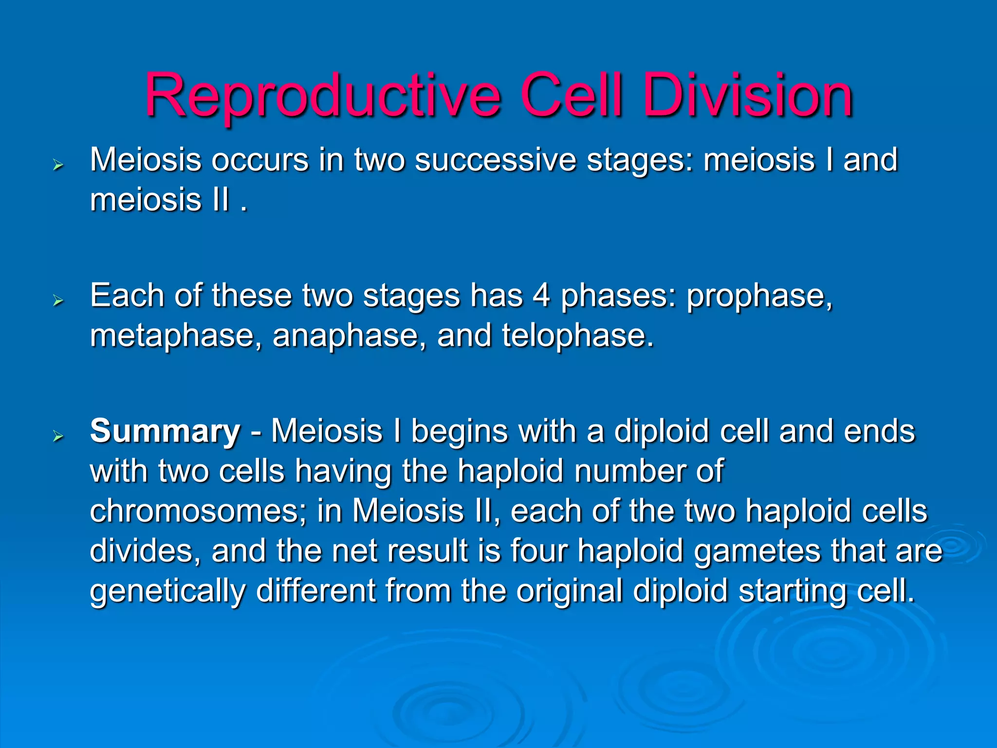 Reproductive Cell Division
 Meiosis occurs in two successive stages: meiosis I and
meiosis II .
 Each of these two stages has 4 phases: prophase,
metaphase, anaphase, and telophase.
 Summary - Meiosis I begins with a diploid cell and ends
with two cells having the haploid number of
chromosomes; in Meiosis II, each of the two haploid cells
divides, and the net result is four haploid gametes that are
genetically different from the original diploid starting cell.
 