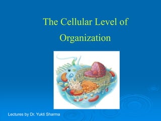 Chapter 3The Cellular Level of
Organization
Lectures by Dr. Yukti Sharma
 