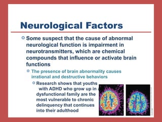 Neurological Factors 
 Some suspect that the cause of abnormal 
neurological function is impairment in 
neurotransmitters, which are chemical 
compounds that influence or activate brain 
functions 
 The presence of brain abnormality causes 
irrational and destructive behaviors 
 Research shows that youths 
with ADHD who grow up in a 
dysfunctional family are the 
most vulnerable to chronic 
delinquency that continues 
into their adulthood 
 