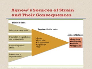 Agnew’s Sources of Strain 
and Their Consequences 
 