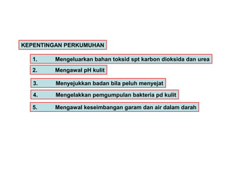 Toksid Maskulin Chapter 3.1 human excretion revised 2010 | PPT