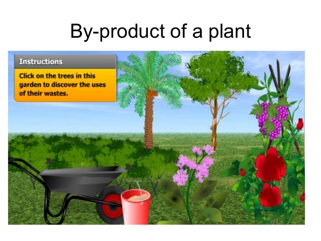 Chapter 3.3 excretion in plant revised 2010- soalan