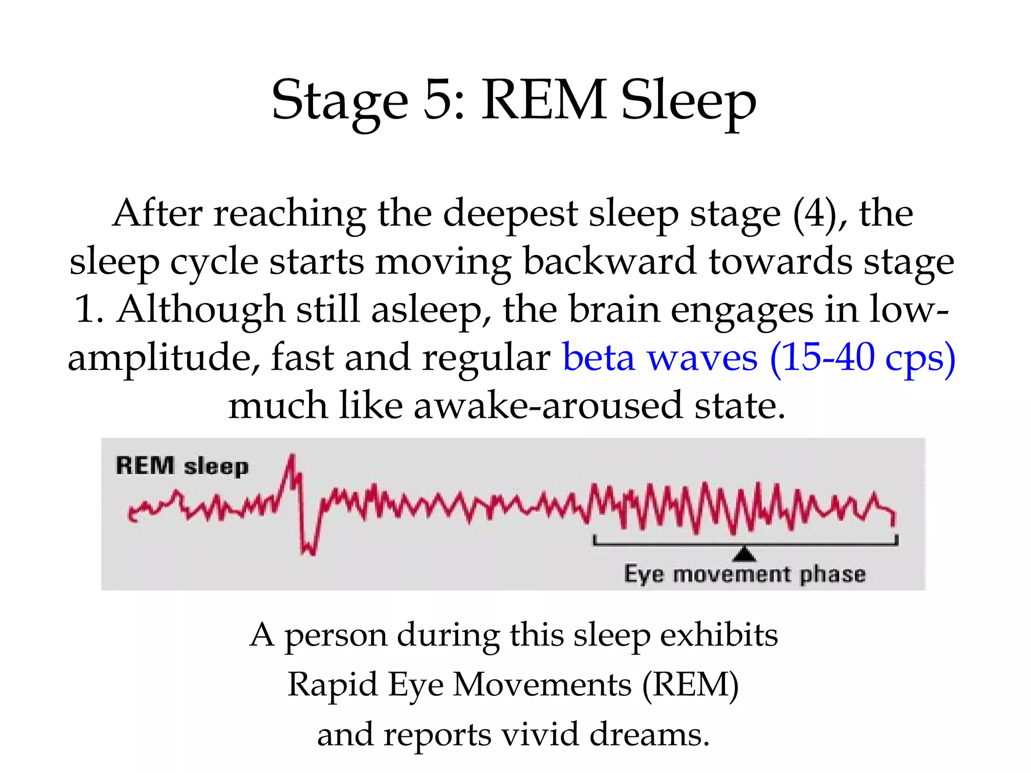 Stage 5: REM Sleep 
After reaching the deepest sleep stage (4), the 
sleep cycle starts moving backward towards stage 
1. Although still asleep, the brain engages in low-amplitude, 
fast and regular beta waves (15-40 cps) 
much like awake-aroused state. 
A person during this sleep exhibits 
Rapid Eye Movements (REM) 
and reports vivid dreams. 
 