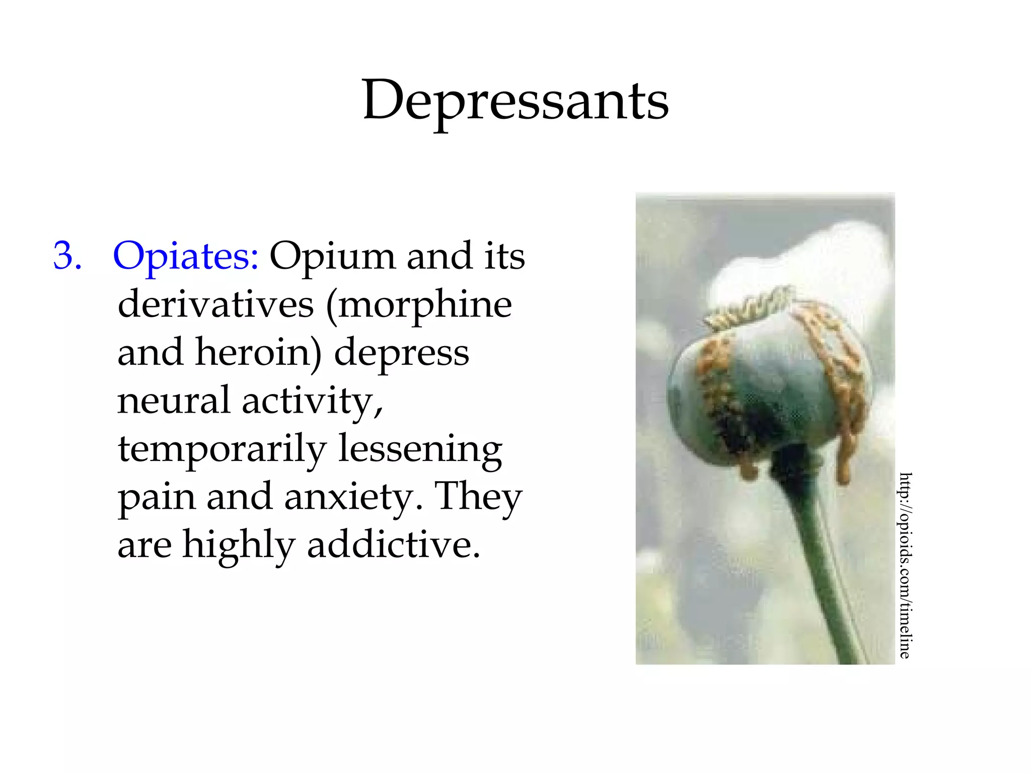 Depressants 
3. Opiates: Opium and its 
derivatives (morphine 
and heroin) depress 
neural activity, 
temporarily lessening 
pain and anxiety. They 
are highly addictive. 
http://opioids.com/timeline 
 