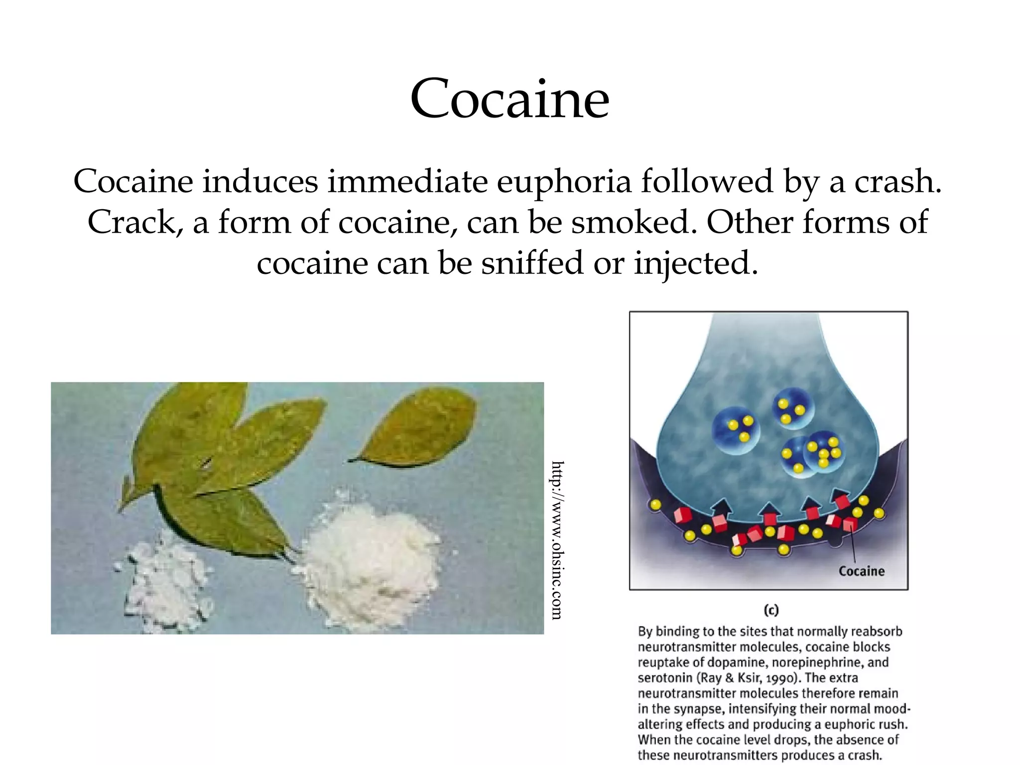 Cocaine 
Cocaine induces immediate euphoria followed by a crash. 
Crack, a form of cocaine, can be smoked. Other forms of 
cocaine can be sniffed or injected. 
http://www.ohsinc.com 
 