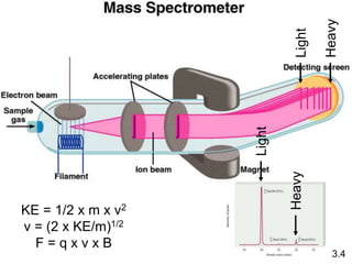 KE = 1/2 x m x v2
v = (2 x KE/m)1/2
F = q x v x B
3.4
Light
Light
Heavy
Heavy
 
