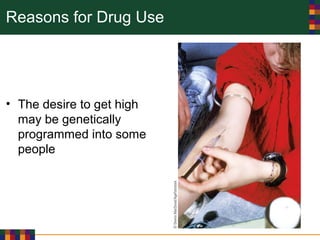 Reasons for Drug Use
• The desire to get high
may be genetically
programmed into some
people
 