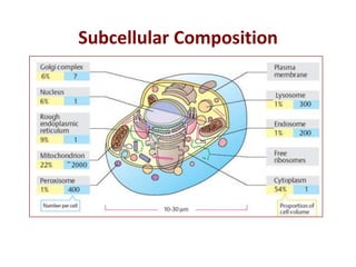 Subcell Chapter3 | PPT