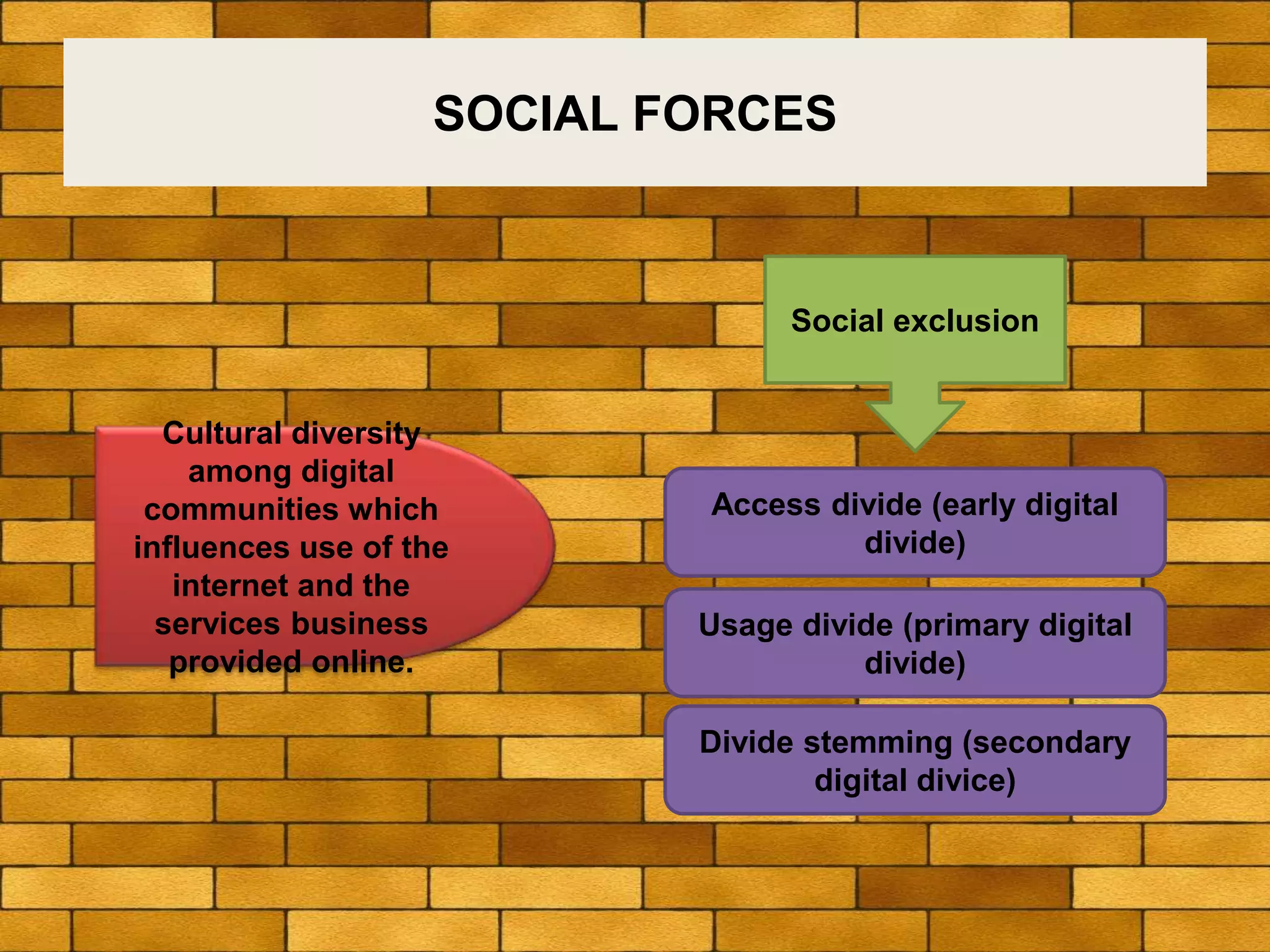SOCIAL FORCES
Cultural diversity
among digital
communities which
influences use of the
internet and the
services business
provided online.
Social exclusion
Access divide (early digital
divide)
Usage divide (primary digital
divide)
Divide stemming (secondary
digital divice)
 