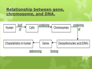 Chapter 3: HEREDITY AND VARIATIONS | PPTX
