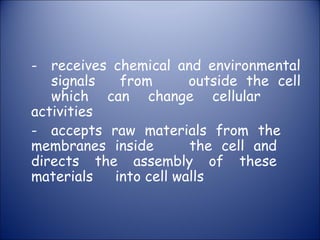 - receives chemical and environmental
signals from outside the cell
which can change cellular
activities
- accepts raw materials from the
membranes inside the cell and
directs the assembly of these
materials into cell walls
 
