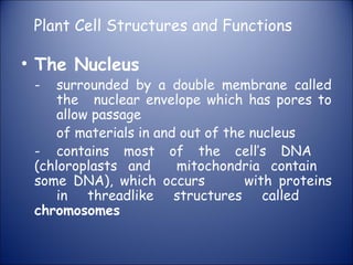 Plant Cell Structures and Functions
• The Nucleus
- surrounded by a double membrane called
the nuclear envelope which has pores to
allow passage
of materials in and out of the nucleus
- contains most of the cell’s DNA
(chloroplasts and mitochondria contain
some DNA), which occurs with proteins
in threadlike structures called
chromosomes
 
