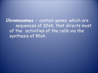 Chromosomes – contain genes, which are
sequences of DNA; that directs most
of the activities of the cells via the
synthesis of RNA.
 