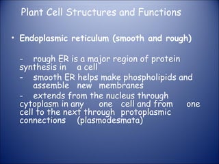 Plant Cell Structures and Functions
• Endoplasmic reticulum (smooth and rough)
- rough ER is a major region of protein
synthesis in a cell
- smooth ER helps make phospholipids and
assemble new membranes
- extends from the nucleus through
cytoplasm in any one cell and from one
cell to the next through protoplasmic
connections (plasmodesmata)
 