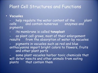 Plant Cell Structures and Functions
• Vacuoles
- help regulate the water content of the plant
cells and contain numerous enzymes and
pigments
- its membrane is called tonoplast
- as plant cell grows, most of their enlargement
results from the absorption of water by vacuoles
- pigments in vacuoles such as red and blue
anthocyanins impart bright colors to flowers, fruits
and other plant parts
- some plant vacuoles harbor toxic chemicals that
will deter insects and other animals from eating
plants that contain them
 