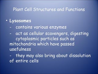 Plant Cell Structures and Functions
• Lysosomes
- contains various enzymes
- act as cellular scavengers, digesting
cytoplasmic particles such as
mitochondria which have passed
usefulness
- they may also bring about dissolution
of entire cells
 