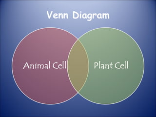 Venn Diagram
 