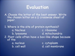 Evaluation
A. Choose the letter of the best answer. Write
the chosen letter on a ½ crosswise sheet of
paper.
1. Where is the site of protein synthesis?
a. Nucleus c. ribosome
b. lysosome d. mitochondria
2. Plant cells often have a box-like shape because
of the
a. nucleus c. cytoplasm
b. cell wall d. cell membrane
 