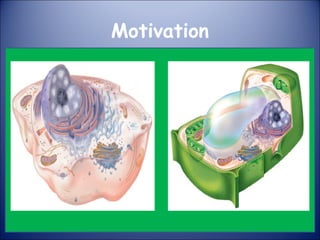 Motivation
 