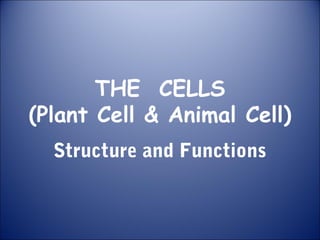 THE CELLS
(Plant Cell & Animal Cell)
Structure and Functions
 