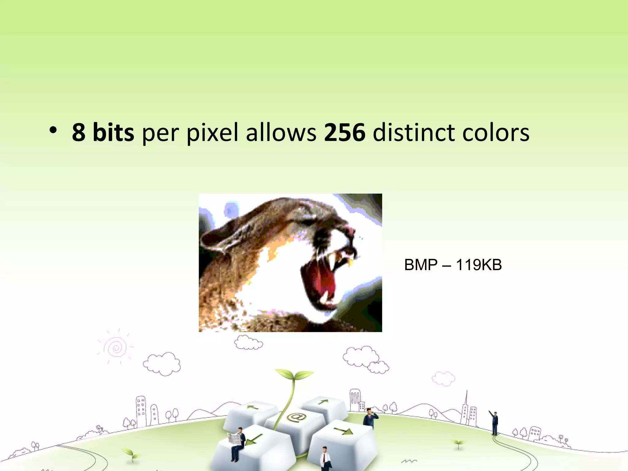 • 8 bits per pixel allows 256 distinct colors
BMP – 119KB
 