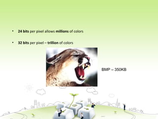 • 24 bits per pixel allows millions of colors
• 32 bits per pixel – trillion of colors
BMP – 350KB
 