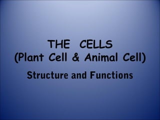 Chapter 3.cell structures and fuctions | PPT