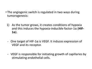 • The angiogenic switch is regulated in two ways during
tumorogenesis:
1) As the tumor grows, it creates conditions of hypoxia
and this induces the hypoxia-inducible factor-1α (HIF-
1α).
- One target of HIF-1α is VEGF. It induces expression of
VEGF and its receptor.
- VEGF is responsible for initiating growth of capillaries by
stimulating endothelial cells.
 