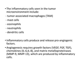• The inflammatory cells seen in the tumor
microenvironment include:
- tumor-associated macrophages (TAM)
- mast cells
- eosinophils
- neutrophils
- dendritic cells
• Inflammatory cells produce and release pro-angiogenic
factors.
• Angiogenesis requires growth factors (VEGF, FGF, TGF),
chemokines (IL-6,IL-8), and matrix metalloproteinases
(MMP-9, MMP-13), which are produced by inflammatory
cells.
 