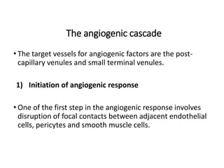 The angiogenic cascade
• The target vessels for angiogenic factors are the post-
capillary venules and small terminal venules.
1) Initiation of angiogenic response
• One of the first step in the angiogenic response involves
disruption of focal contacts between adjacent endothelial
cells, pericytes and smooth muscle cells.
 