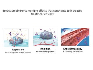 Bevacizumab exerts multiple effects that contribute to increased
treatment efficacy
Regression
of existing tumour vasculature
Inhibition
of new vessel growth
Anti-permeability
of surviving vasculature
 